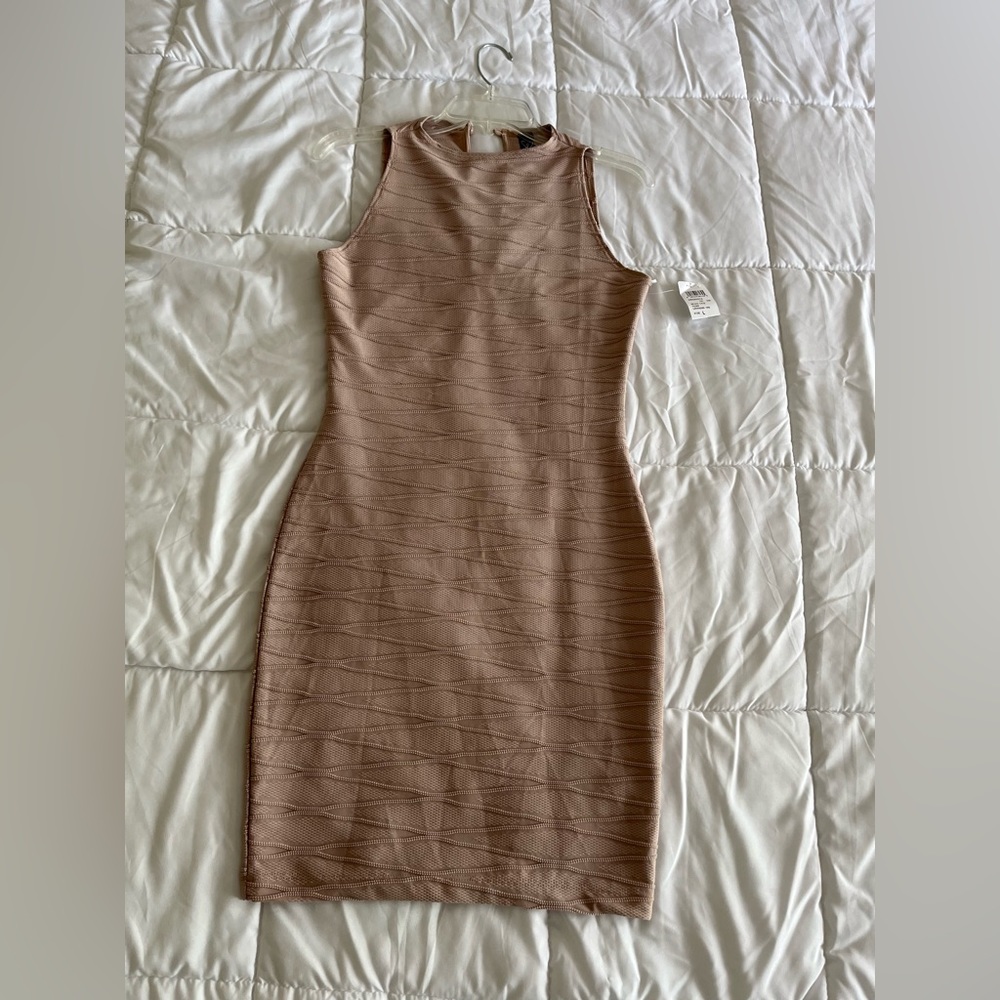 NWT Windsor Bodycon dress